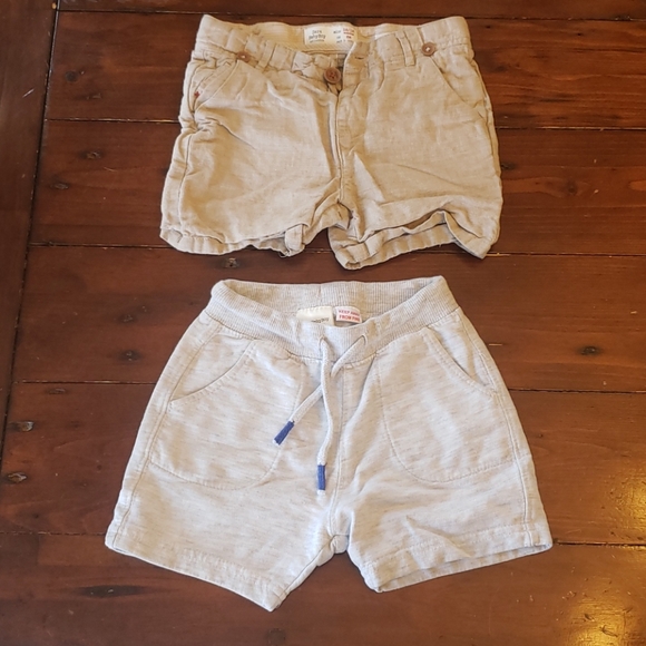Zara Shorts